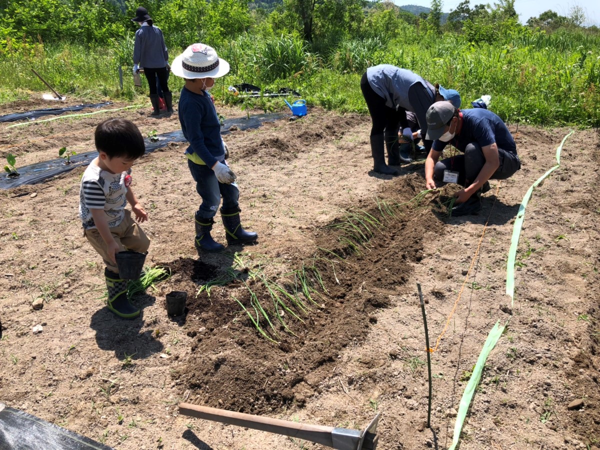 おらんだ専科情報紹介｜畑の楽耕
