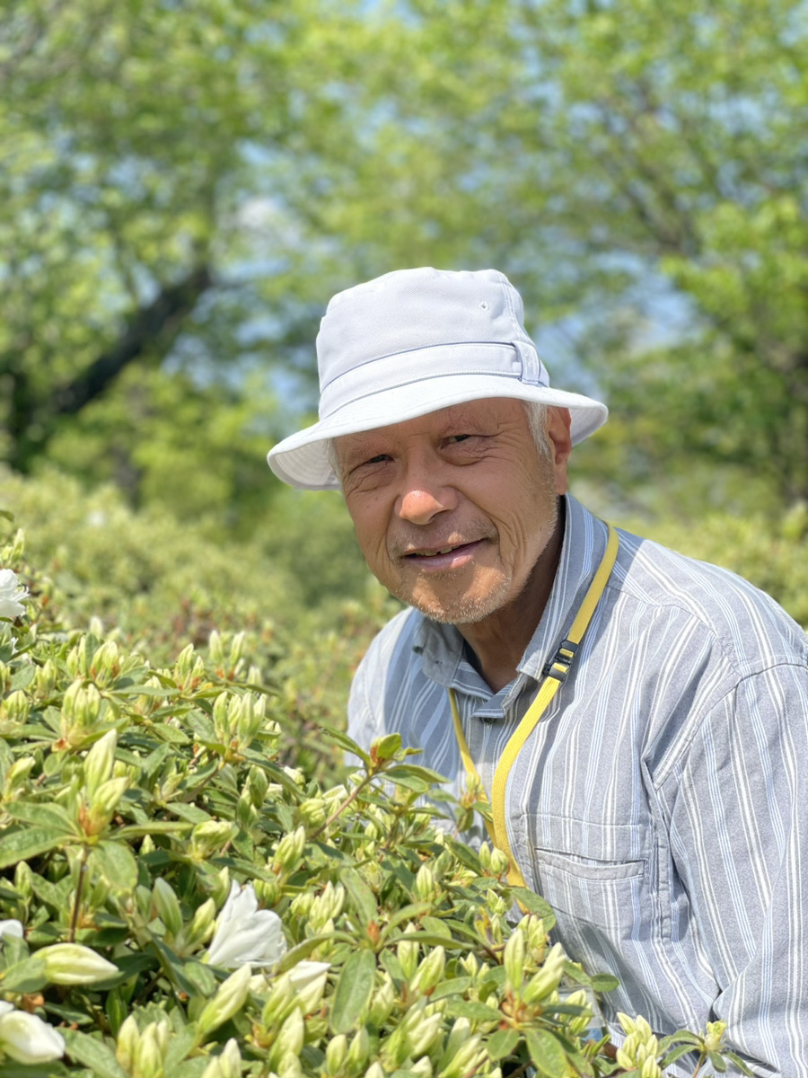 おらんだ専科情報紹介｜白つつじ公園&長井黒獅子