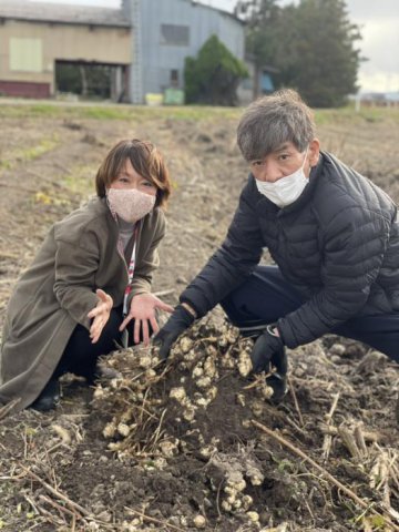 おらんだ専科情報紹介｜長井菊芋研究所
