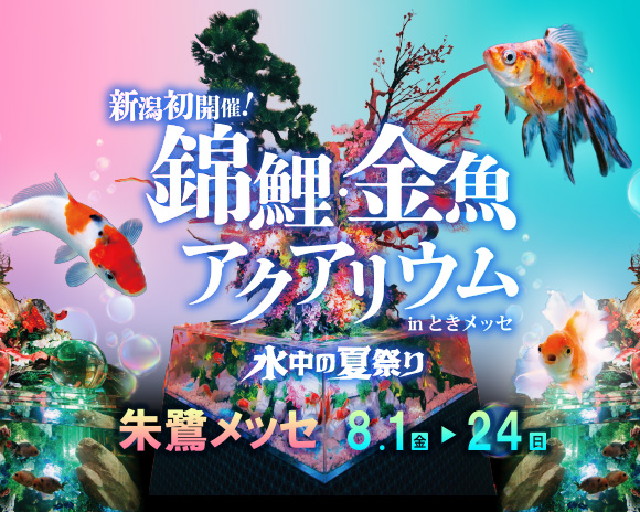 【終了】錦鯉・金魚アクアリウム in ときメッセ のチケットをペアにして5組に！